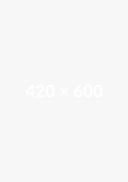 420×600